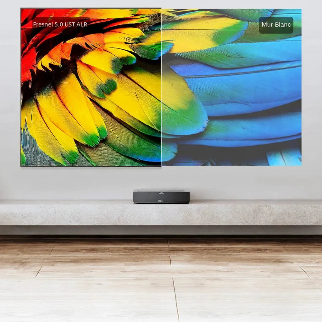 MIVISION écran ALR courte focale - vue de face